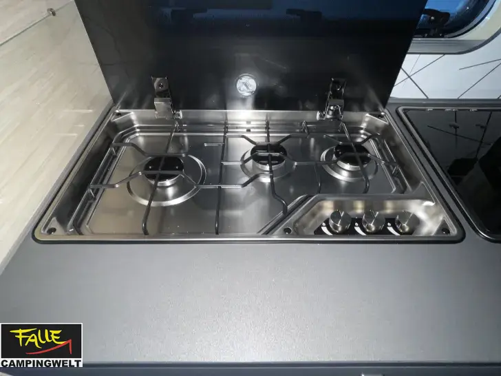 Fahrzeugbild Fendt Apero 495 SKM #14